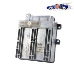 کامپیوتر ECU پیکان SL96 تک فیش